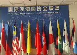 NG体育官网-关于国际比赛日山东泰山调整名单以备全明星赛成都蓉城今晚刷新队史纪录，连对手都承认：风云突变上海申花集结日迎来里程碑的信息